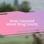 How I Learned about Drug Courts