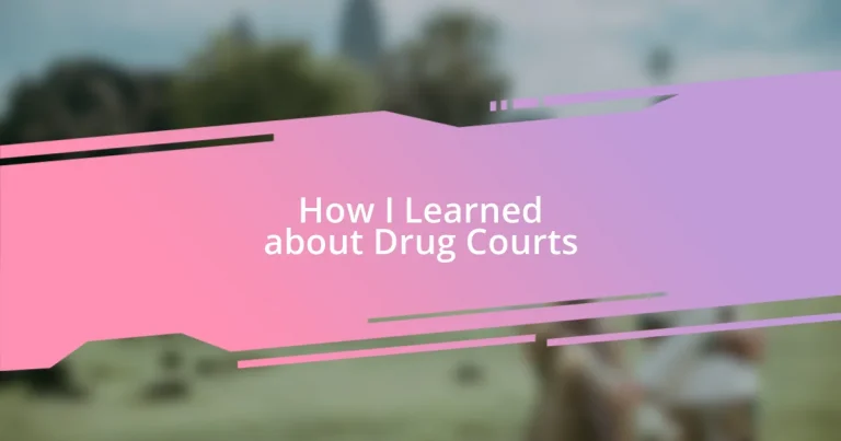 How I Learned about Drug Courts